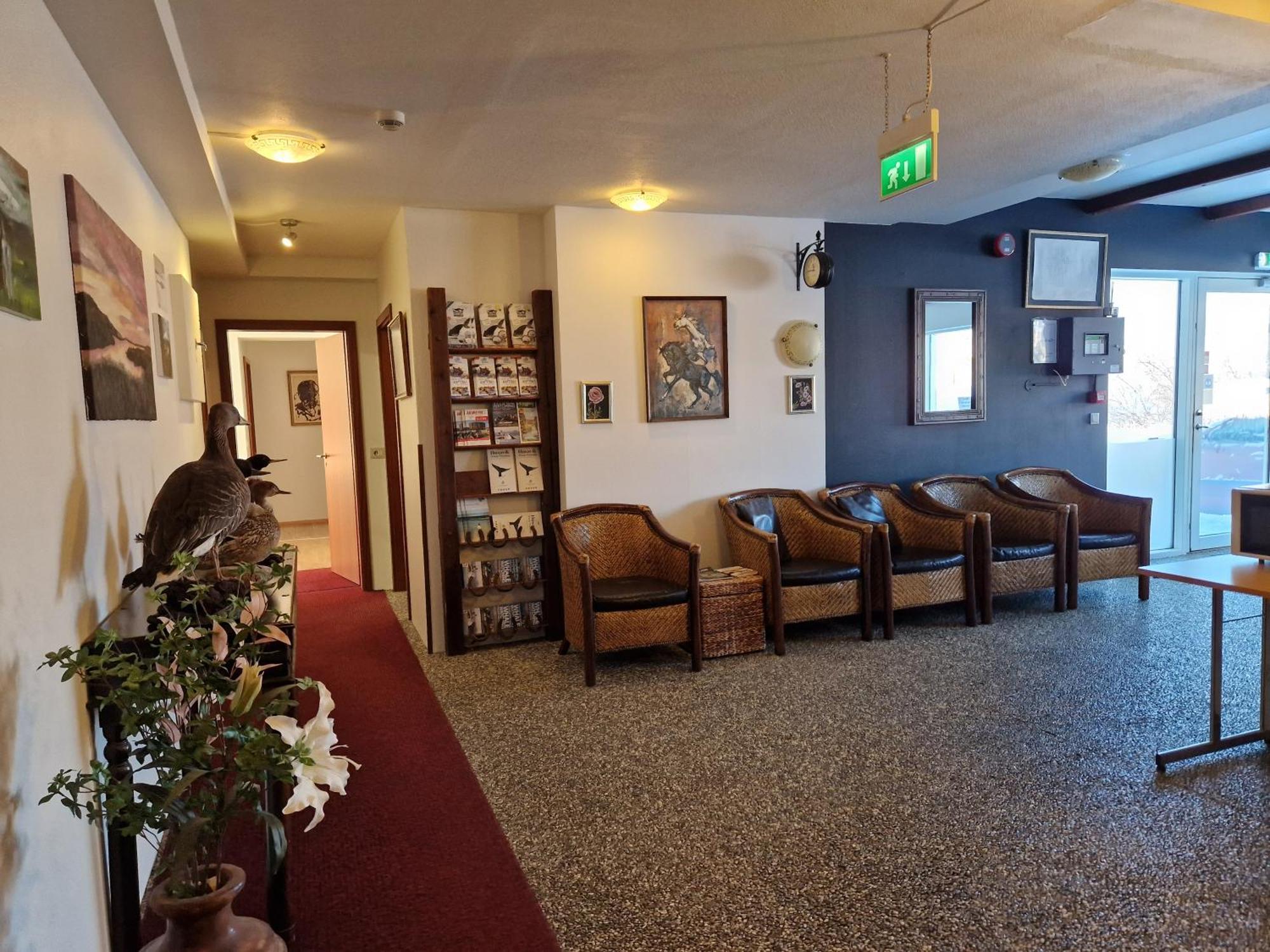 Gauksmyri Guesthouse Lodge Хвамстанги Екстериор снимка